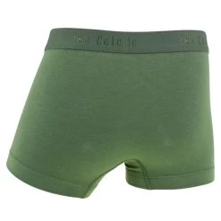 Ten Cate Jongens Basic 2-pack Boxers Groen -Mode lingerie aHR0cHM6Ly93d3cuYm94ZXJzLm5sL21lZGlhL2NhdGFsb2cvcHJvZHVjdC90L2UvdGVuLWNhdGVfMzE5ODctMzE3Ml9hY2h0ZXJrYW50LmpwZz9zdG9yZT1ib3hlcnNfbmwmaW1hZ2UtdHlwZT1pbWFnZQ
