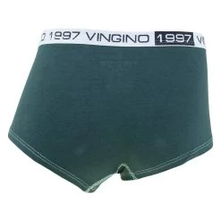 Vingino Meisjes 3-pack Hipsters Animal Mint Multi -Mode lingerie aHR0cHM6Ly93d3cuYm94ZXJzLm5sL21lZGlhL2NhdGFsb2cvcHJvZHVjdC92L2kvdmluZ2lub19hdzIya2duNzI2MDUtZzIyM18yX2FjaHRlcmthbnQuanBnP3N0b3JlPWJveGVyc19ubCZpbWFnZS10eXBlPWltYWdl
