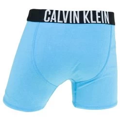 Calvin Klein Jongens Intense Power 2-pack Boxers Basic Blauw & Zwart -Mode lingerie aHR0cHM6Ly93d3cuYm94ZXJzLm5sL21lZGlhL2NhdGFsb2cvcHJvZHVjdC9jL2EvY2FsdmluLWtsZWluX2I3MGI3MDA0MjMtMHN2XzJfYWNodGVya2FudC5qcGc c3RvcmU9Ym94ZXJzX25sJmltYWdlLXR5cGU9aW1hZ2U