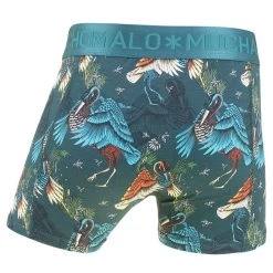 Muchachomalo Jongens 2-pack Cotton Modal Boxers Bird Groen -Mode lingerie aHR0cHM6Ly93d3cuYm94ZXJzLm5sL21lZGlhL2NhdGFsb2cvcHJvZHVjdC9tL3UvbXVjaGFjaG9tYWxvX2JpcmQxMDEwLTAxal8xX2FjaHRlcmthbnQuanBnP3N0b3JlPWJveGVyc19ubCZpbWFnZS10eXBlPWltYWdl