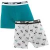 PUMA Jongens Everyday 2-pack Boxers Logo & Initial Groen & Grijs -Mode lingerie aHR0cHM6Ly93d3cuYm94ZXJzLm5sL21lZGlhL2NhdGFsb2cvcHJvZHVjdC9wL3UvcHVtYV83MDEyMjEzNDktMDAxXzItcGFjay5qcGc c3RvcmU9Ym94ZXJzX25sJmltYWdlLXR5cGU9aW1hZ2U
