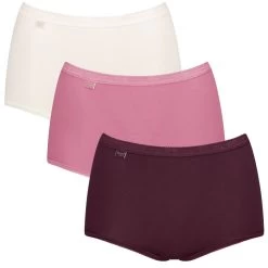 Sloggi Dames Basic 3-pack Maxi Slips Multi III