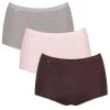Sloggi Dames Basic 3-pack Maxi Slips Multi IV