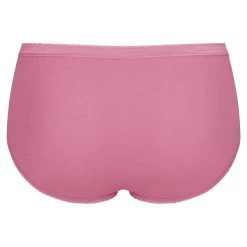 Sloggi Dames Basic 3-pack Midi Slips Multi IV -Mode lingerie aHR0cHM6Ly93d3cuYm94ZXJzLm5sL21lZGlhL2NhdGFsb2cvcHJvZHVjdC9zL2wvc2xvZ2dpXzEwMTA3MTYzLW0wMjBfNS5qcGc c3RvcmU9Ym94ZXJzX25sJmltYWdlLXR5cGU9aW1hZ2U